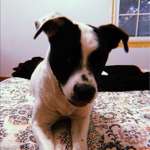 Meet your Posher, Madison